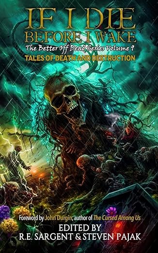 If I Die Before I Wake, Vol. 9 · Sinister Smile Press cover